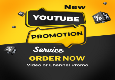 I will do youtube video promotion with google ads