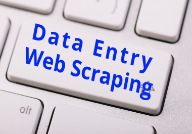 I will be your virtual assistant for data entry,  data mining,  web research