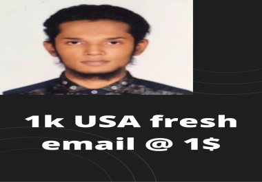 I will provide 1k USA fresh email address