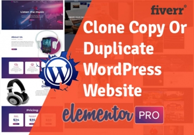 I will clone,  copy,  design WordPress website using elementor pro