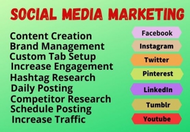 I will be your social media marketing manager and content writer