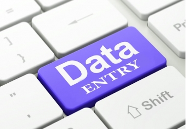 We provide professional Data Entry work.