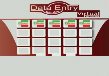 I will deliver Data Entry & Virtual Assistant Service for running your Busniess smoothly