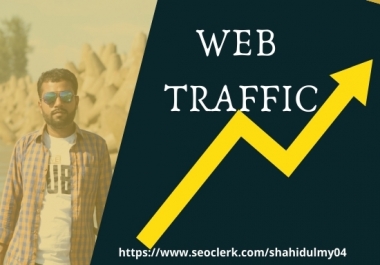 I will bring real visitors,  targeted web traffic boost SEO