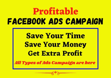 I will run profitable facebook ads campaign