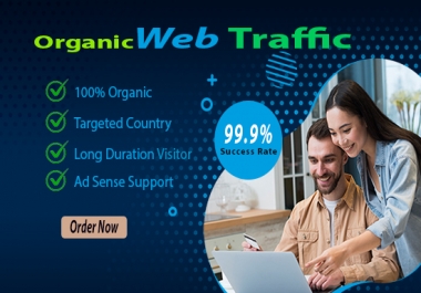 I will drive targeted real organic USA web traffic google ranking