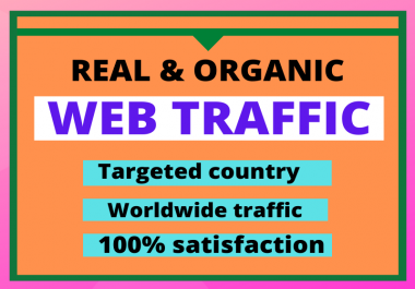 I will drive you real & organic web traffic