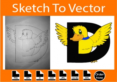 I will change your any sketch into vector using adobe illustrator