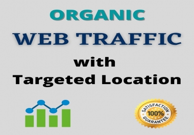 I will drive organic web traffic with worldwide real visitor