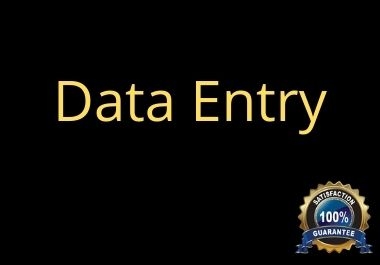 I will help you with data entry for your business