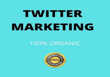 I will do professional twitter marketing for your business