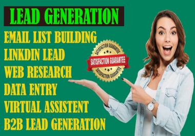 I will do b2b lead generation and web research,  data entry