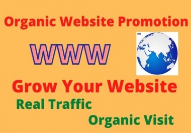 I will do organic Website Promotion