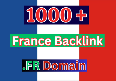 1000 France based domains FR backlinks