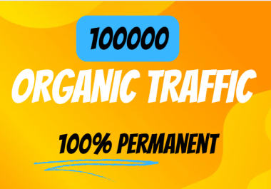 I will provide 100000 USA Organic Traffic