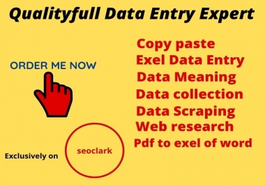 I will do data entry,  excel,  copy paste,  web research, web scraping