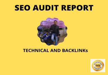 I will provide website audit reports