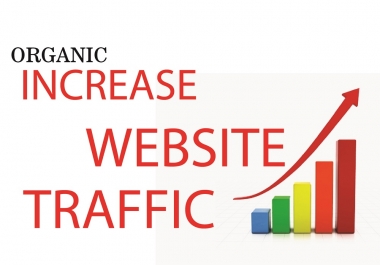 I will do organic website traffic by SEO backlinks