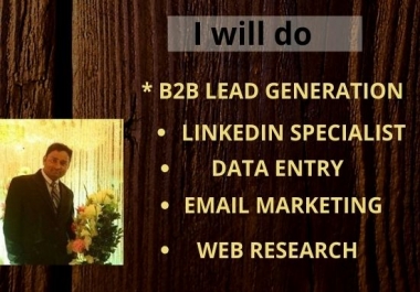 I will do B2B lead generation, Email Marketing & Web Research