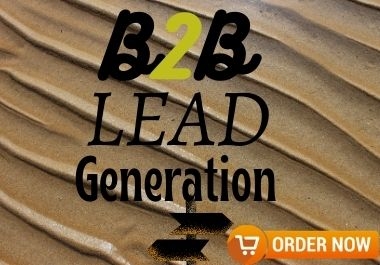 I will provide 100 Niche Based B2B Lead Generation.