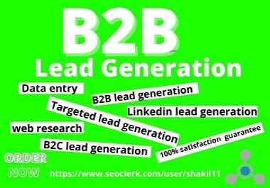I will provide 50 b2b lead generation and targeted lead generation