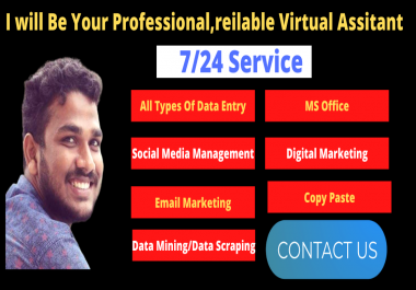 I will Be Your Professional, reilable Virtual Assistant