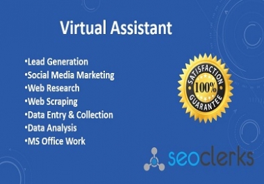 I will be your expert virtual assistant