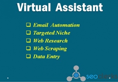 I will be your perfect and reliable Virtual Assistant