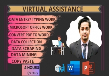 I will be your virtual assistant for data entry,  data mining