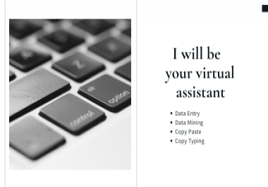 I will do data entry,  copy paste,  web research,  data mining