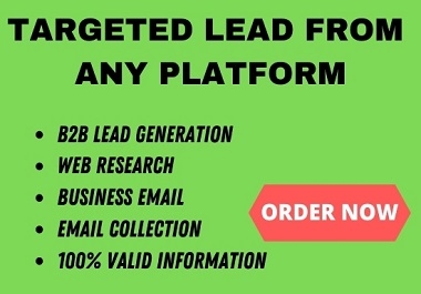 I will do targeted b2b lead generation from any platform