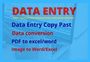 I will provide Data entry,  Data converting