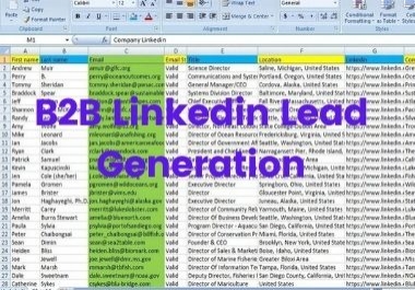 i will do B2B LinkedIn lead Generation