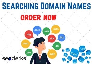 Searching Domain Names only for you