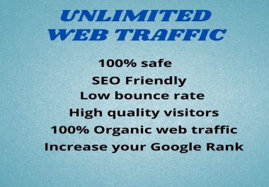 I will bring real visitors and targeted WEB TRAFFIC