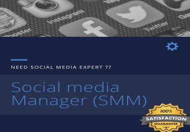 I will be your digital social media manager and marketing expert