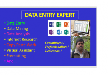 I will do any data entry online or offline,  web research