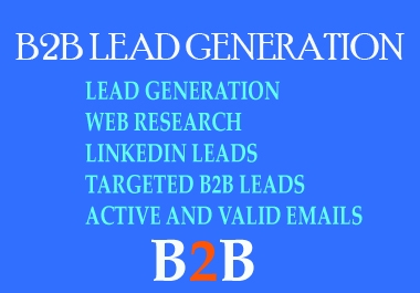 I will give targeted b2b lead generation from any company