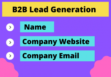 I will provide Company Name,  Email,  Website for B2B promotion