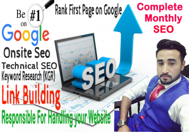 i will provide you monthly seo for your website, blogs, shopify store and affiliate sites