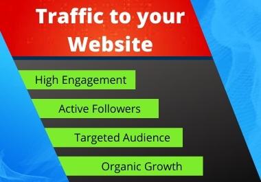 I will drive Organic Traffic to your Website.