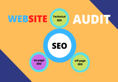 I will provide a professional SEO website audit report