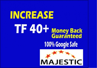 increase trust flow up to 30 with SEO white hat backlinks