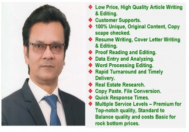 I am able to write Article-3 Pages & Content-1 Page