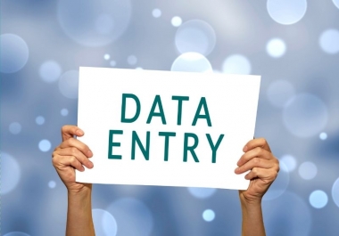 I will provide any kind of Data Entry Service