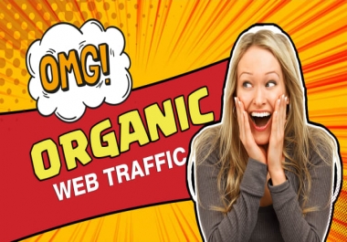 I will drive organic web traffic service