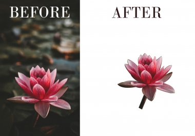 I'll remove background within 5 hours