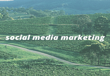 Social media marketing strategy and grow your business