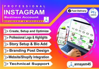 I will setup your professional instagram business account