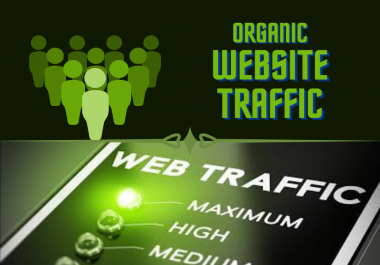 I will provide direct real targeted 500 web traffic visitors per day for you